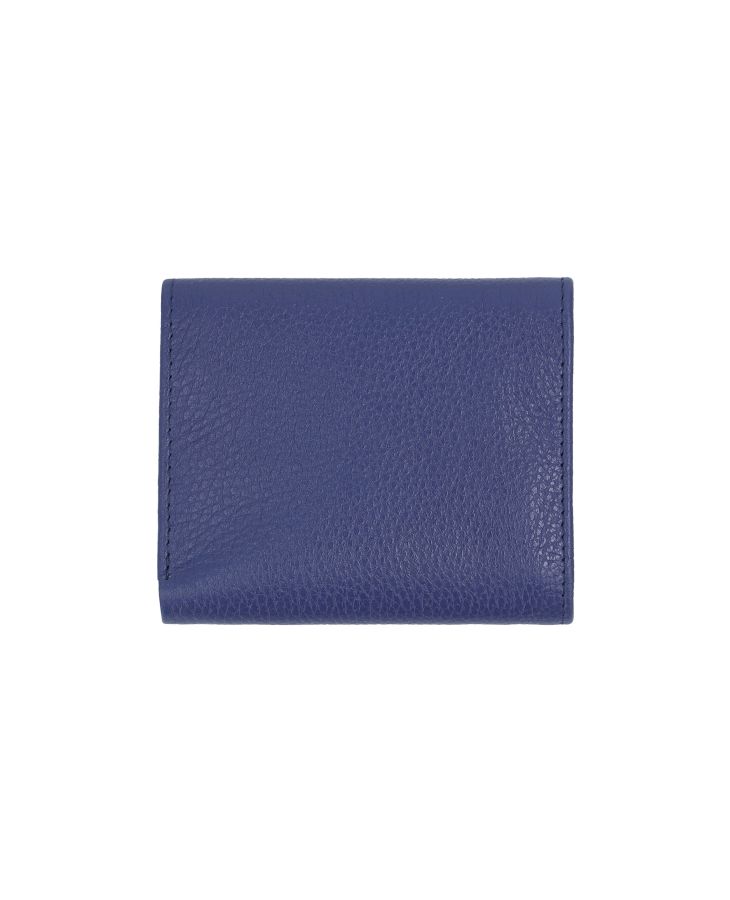 Daylily Wallet