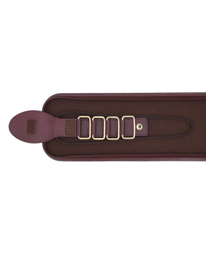 Beethoven Tie Case