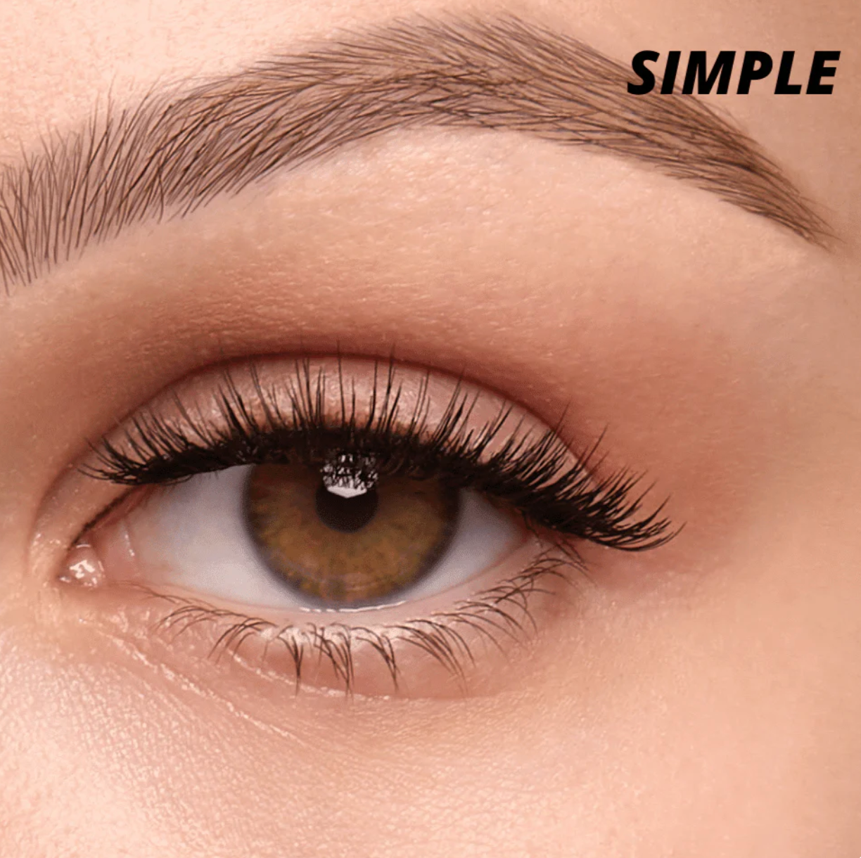 Buy 1 Get Free – Reusable Magnetic Eyelashes
