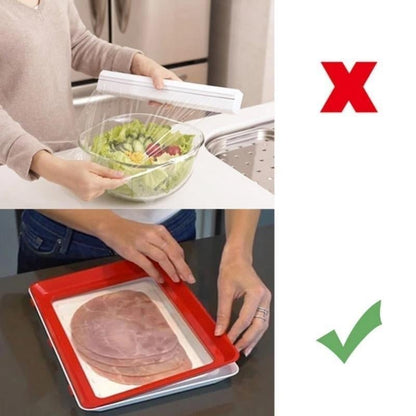 Environmentally Friendly Design – Reusable Food Preserving Tray