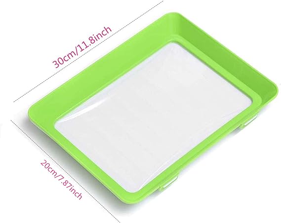 Environmentally Friendly Design – Reusable Food Preserving Tray