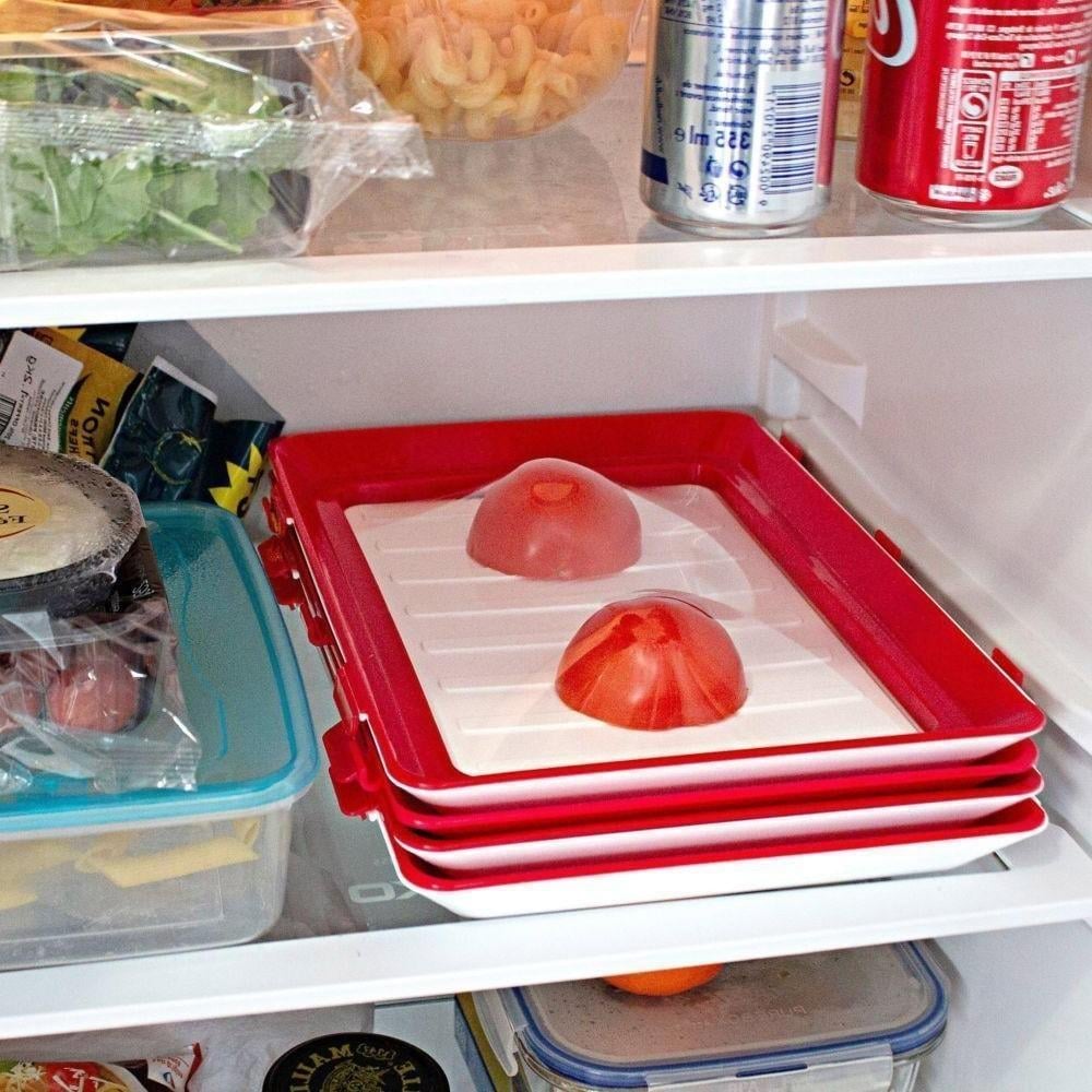 Environmentally Friendly Design – Reusable Food Preserving Tray
