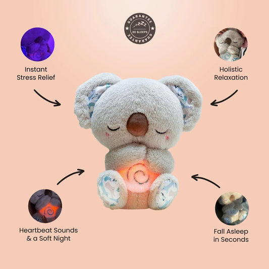 The Relief Koala