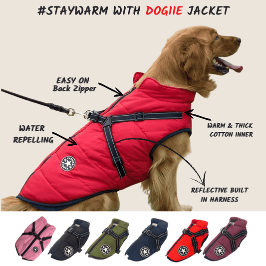 Waterproof Winter Dog Jacket With Built-In Harness Red / S