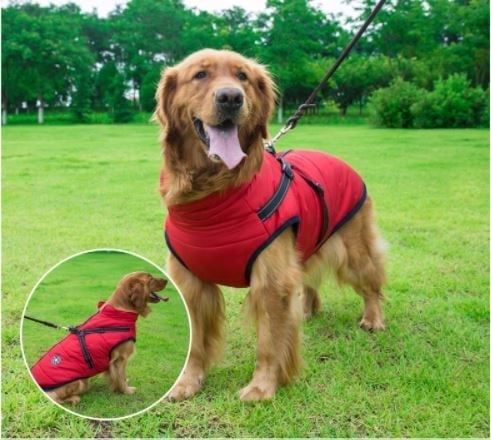 Waterproof Winter Dog Jacket With Built-In Harness