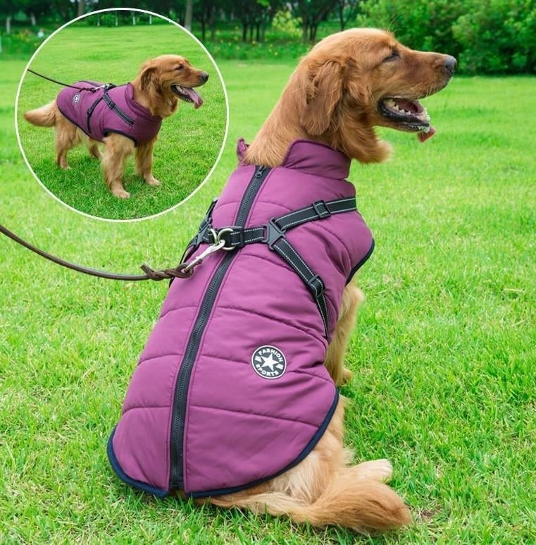 Waterproof Winter Dog Jacket With Built-In Harness Purple / S